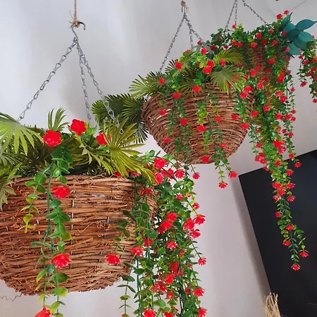 La Vela Apartamento